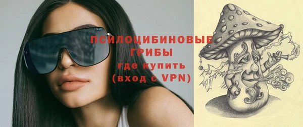 индика Алексеевка