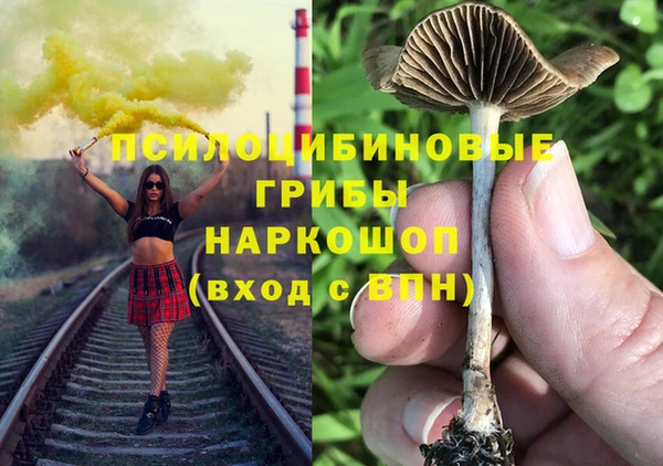 не бодяженный Алексин