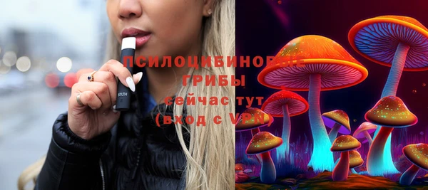 индика Алексеевка