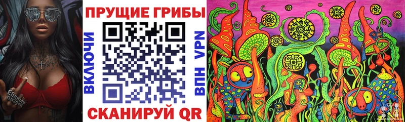где найти наркотики  Карасук  Галлюциногенные грибы MAGIC MUSHROOMS 